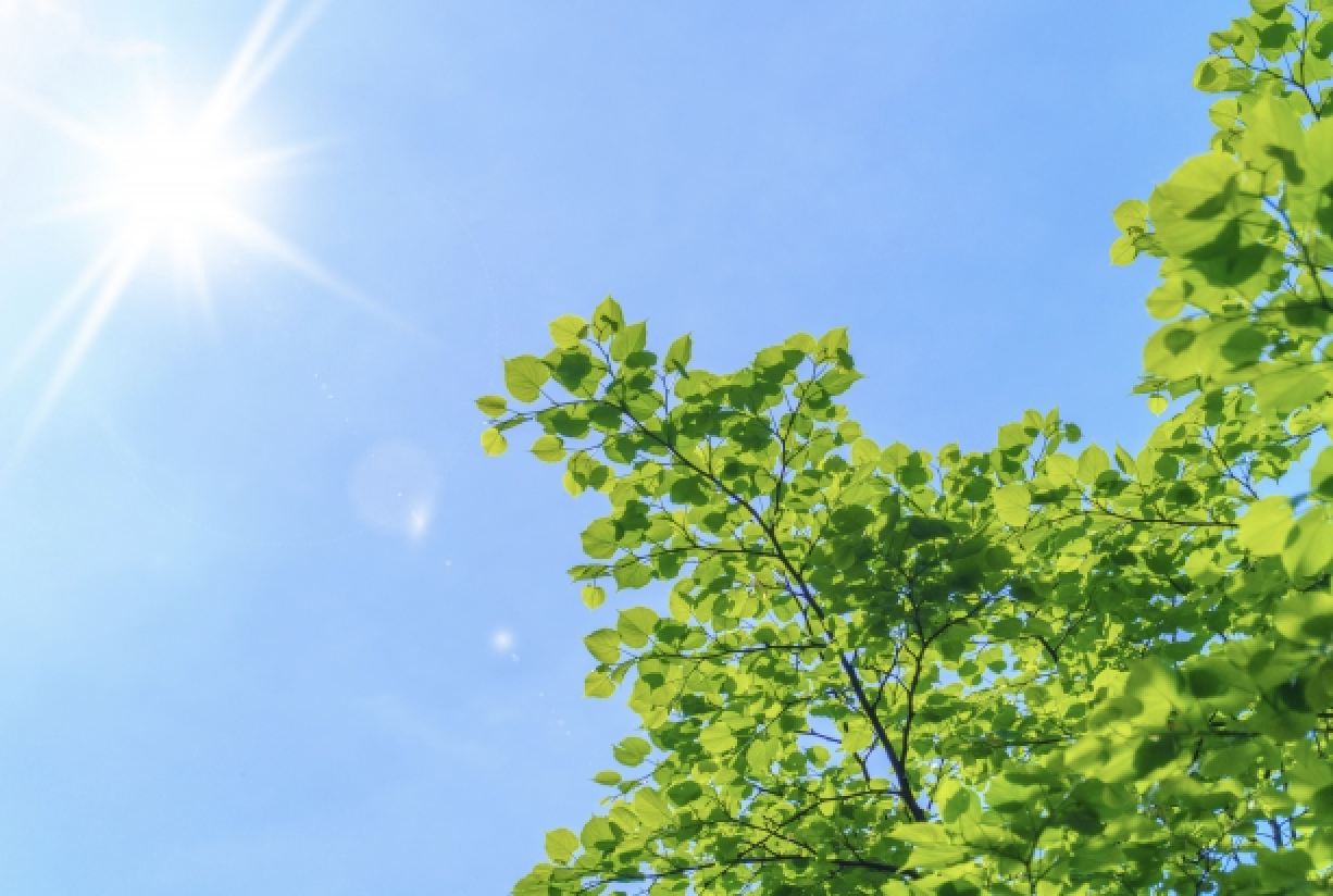 熱中症と睡眠の関係［近年注目の夜間熱中症とは？］