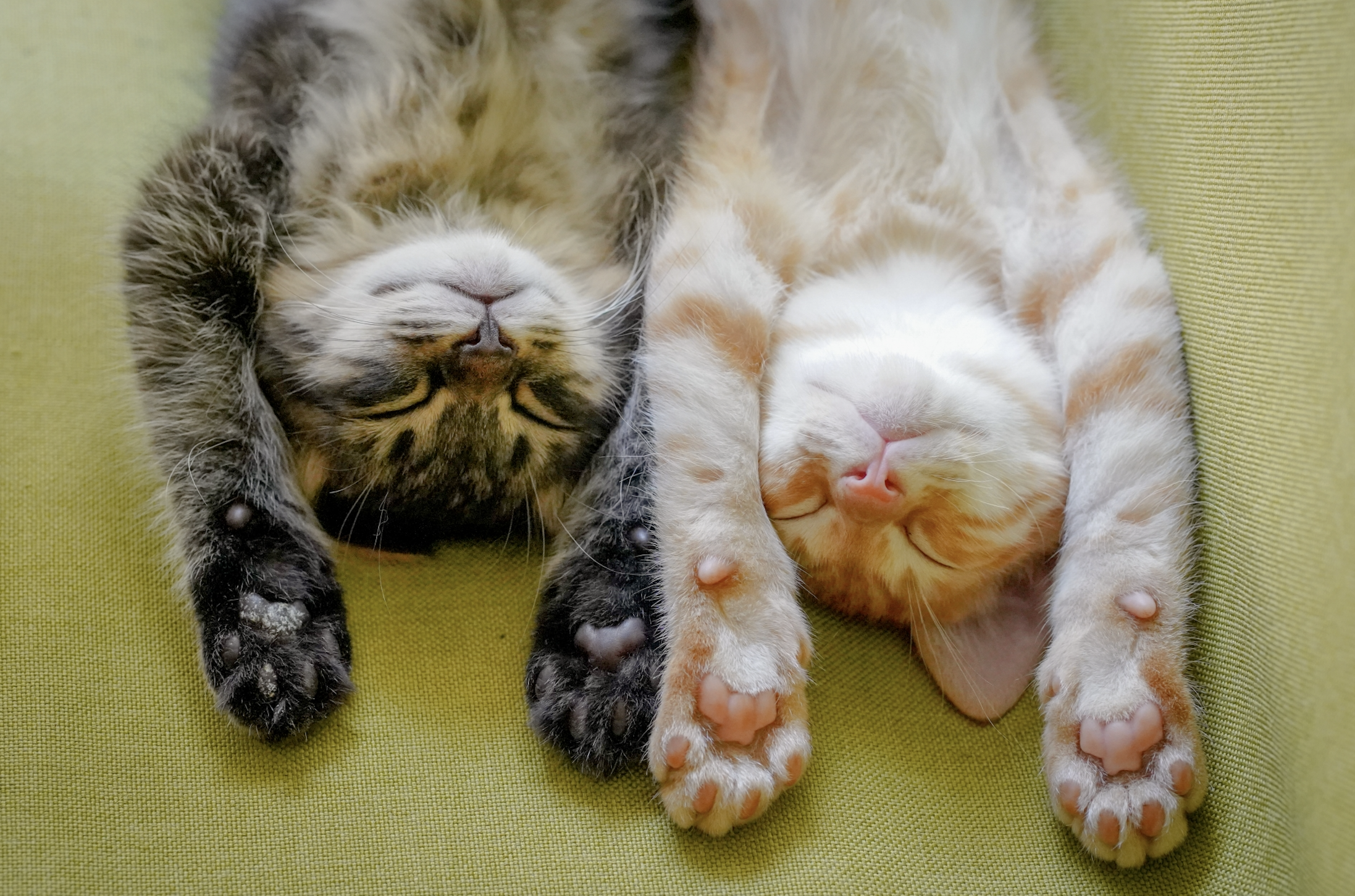 腕を上げて寝る「バンザイ寝」は危険？原因と改善方法｜枕・マットレスの見直しがカギ